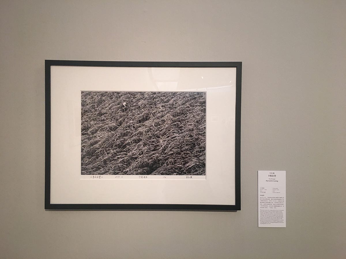 images/art/2020-08-23 中国美术馆/7.jpg